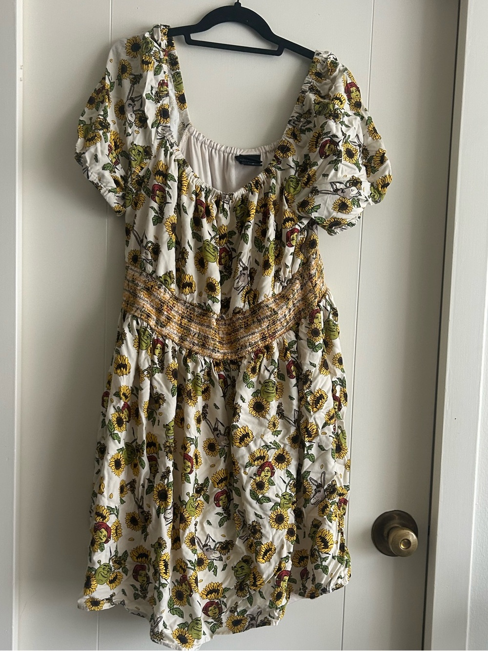 Dreamworks shrek sunflower dress
